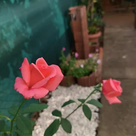 Tatil Evi La Casita Vendeghaz